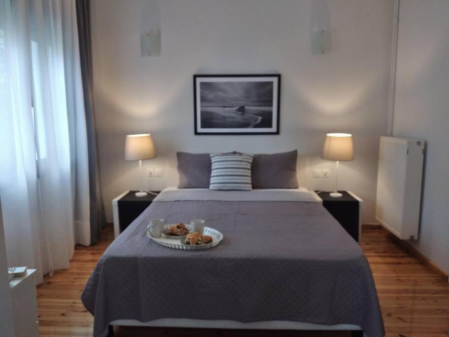 D4 Central Luxury Apartment Volos Esterno foto